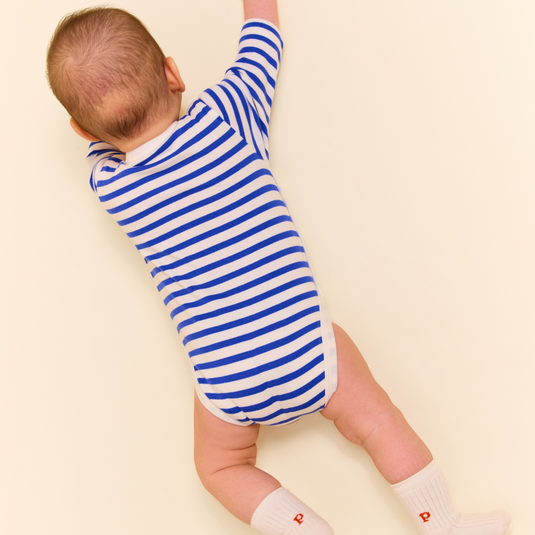 Baby Striped Organic Cotton Bodysuit in Royal Blue/Off-White