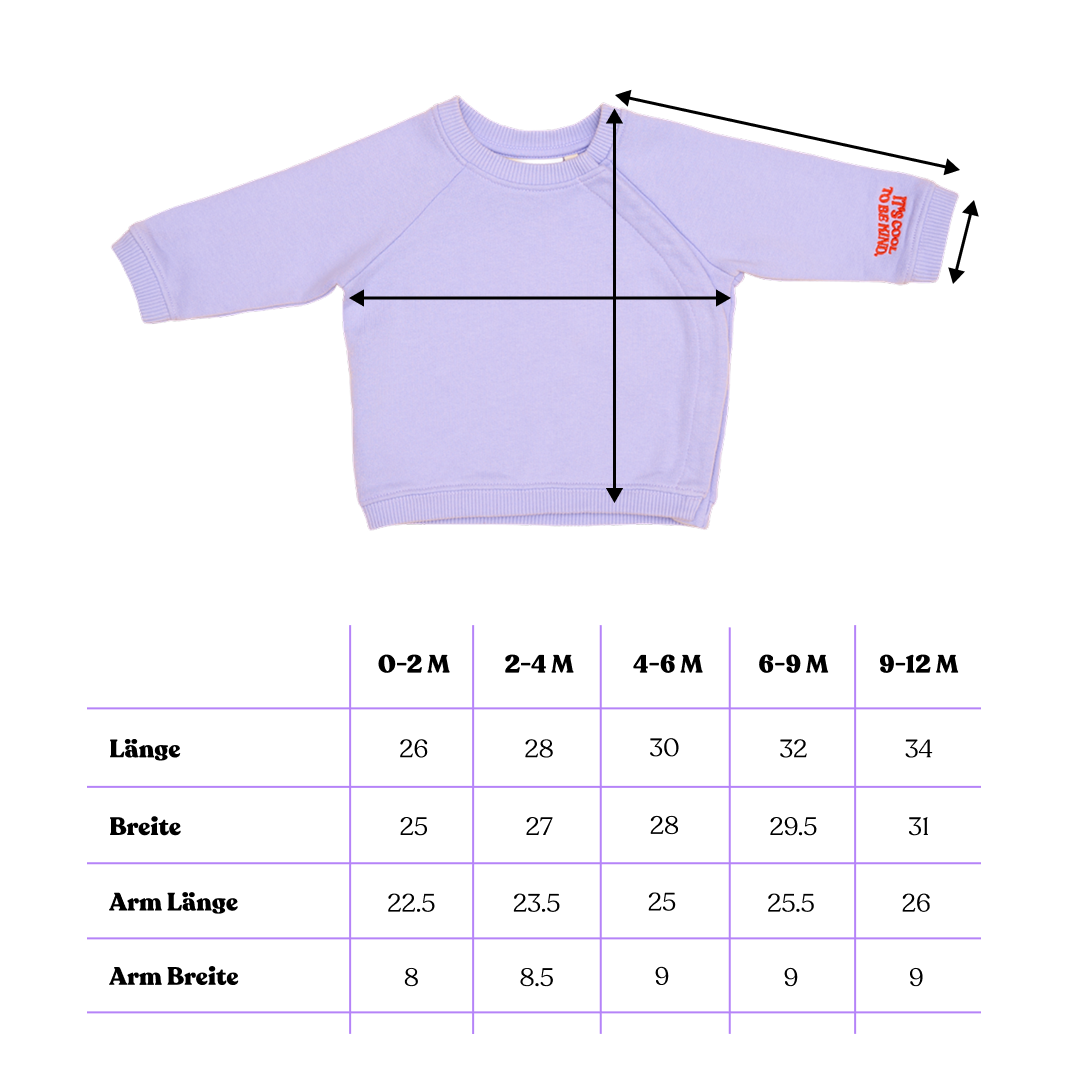 Baby Kindness Sweater aus Bio-Baumwolle in Lila